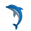 Dolphineducationconsultancy.com