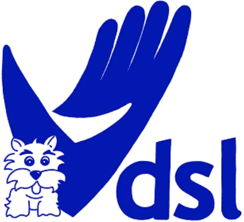 Debt Solve UK Ltd t/a DSL