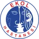 Ekol Hospitals
