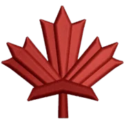 Embroidery Digitizing.CA
