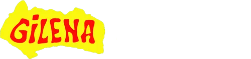 Libreria Gilena International Motor Books