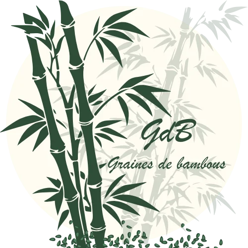 Graines de bambous