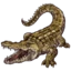 Kissimmee Swamp Tours