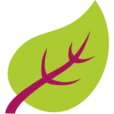 Leaderplant