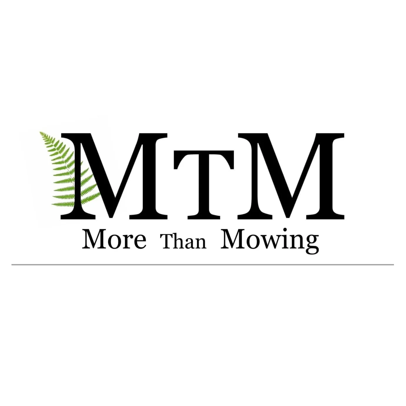 Morethanmowing