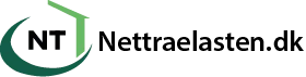 Nettraelasten