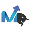 Numerainternational