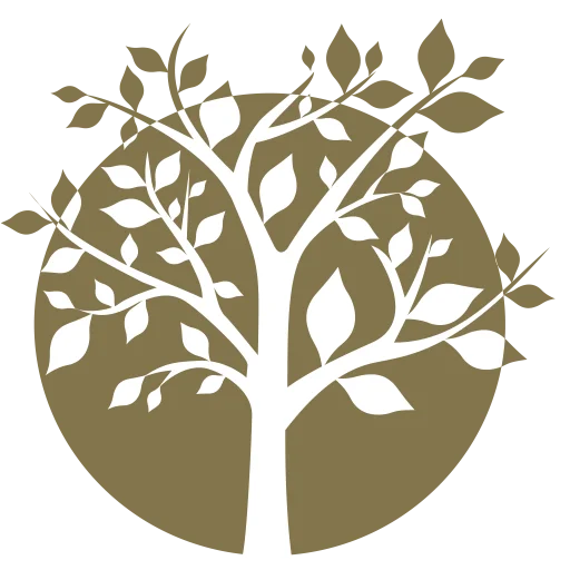 Oakridgedentalcare