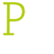Puzzelbrein