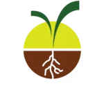 Ramysnursery