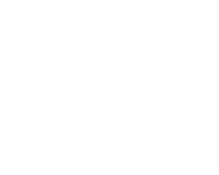 Rivettiwalter