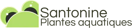 Santonine.fr
