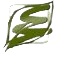 Skin Salve