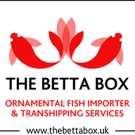 Thebettabox