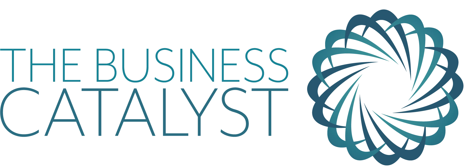 The Business Catalyst