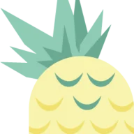 The Happy Pineapple Coaching