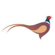 Thepheasantbrill