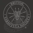 TheSpiderShop