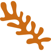 The Stem