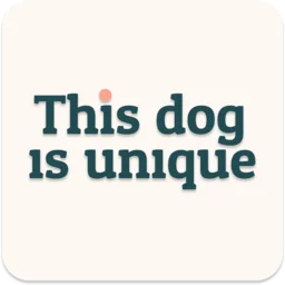 This Dog Is Unique