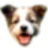 TierPerso