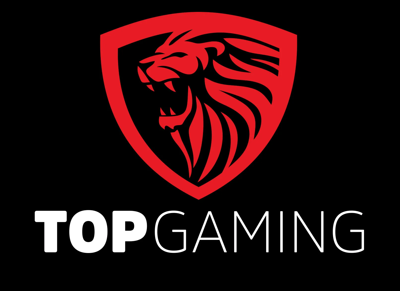 TOPDATA.DK
