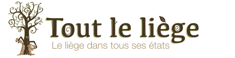 Toutleliege.com