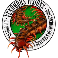 Venomousvisions