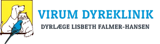 Virumdyreklinik