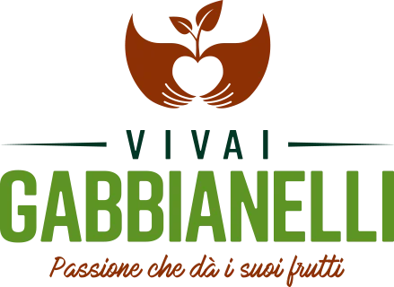 Vivai Piante Gabbianelli