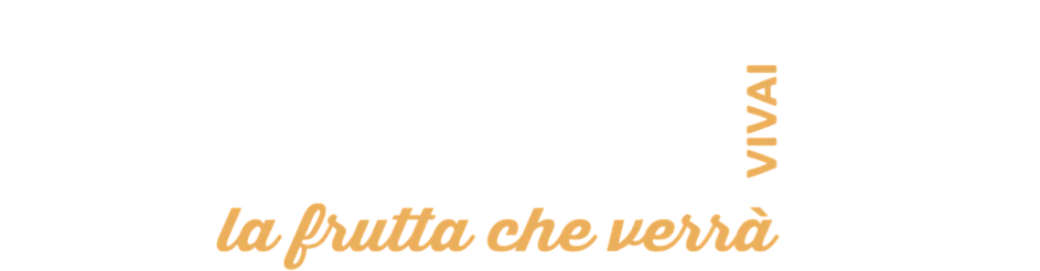 Vivaispinelli.com
