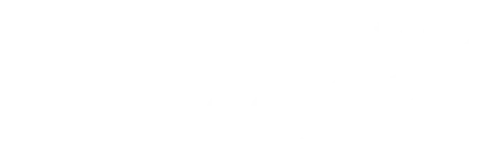 WallBedKing