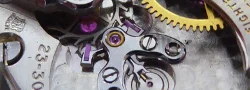 Watchguy