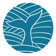 Wavesandwild