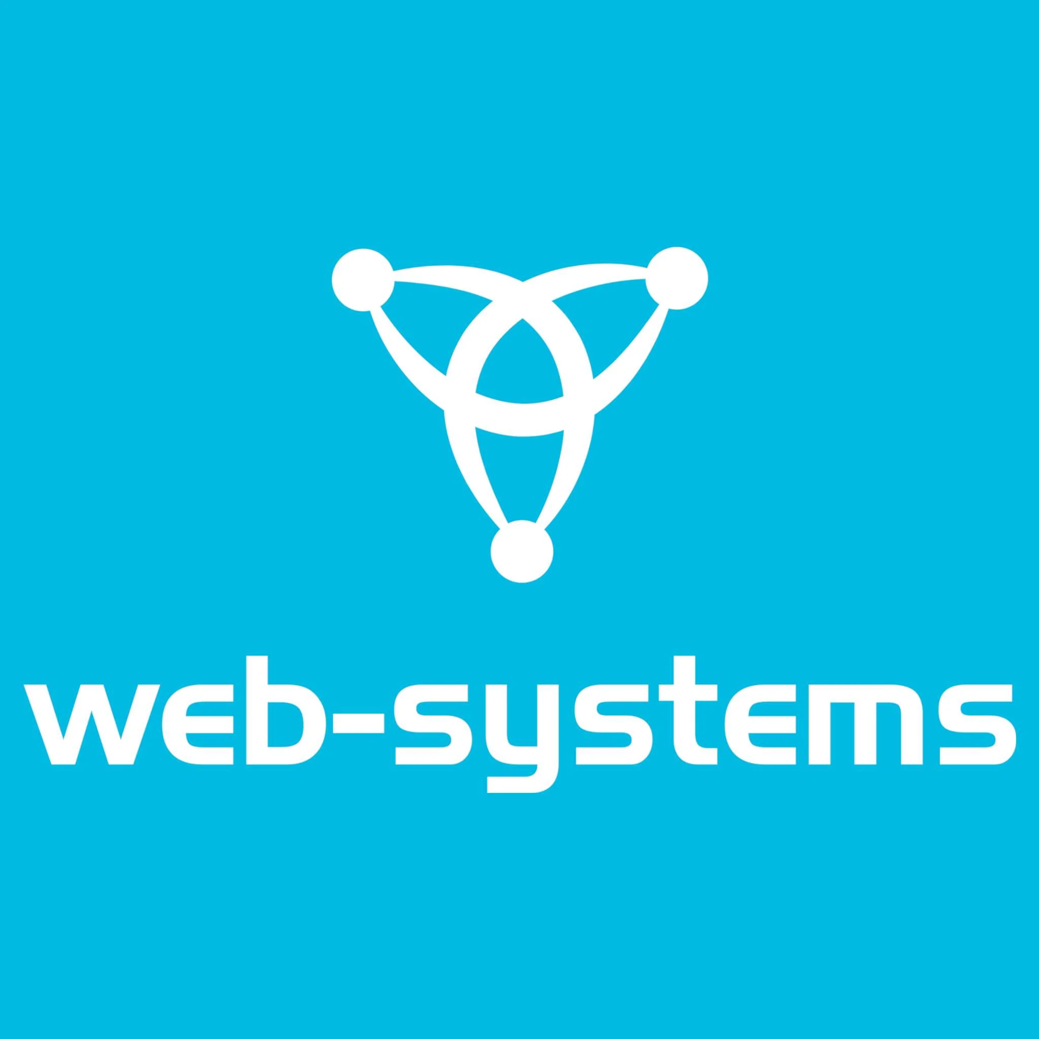 WEB SYSTEMS