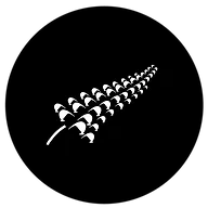 Wild Kiwi Pies