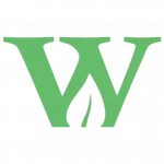 Wy Registered Agent