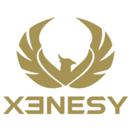 Xenesy LTD