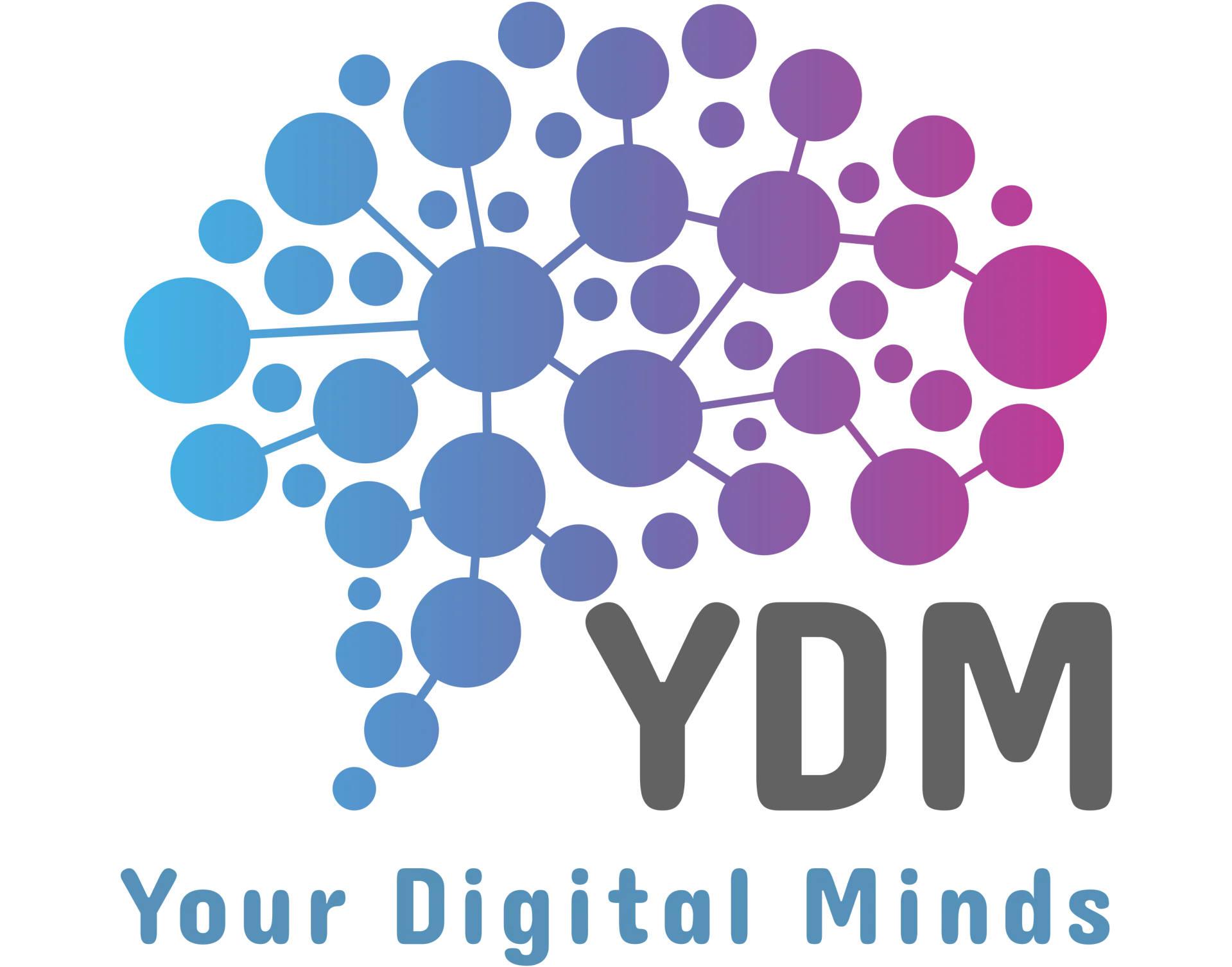 Your Digital Minds (YDM)