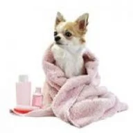 Yuppy Puppy