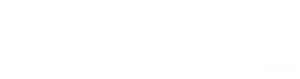 Z1