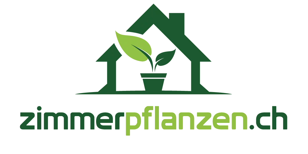 Zimmerpflanzen