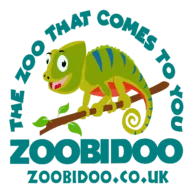Zoobidoo